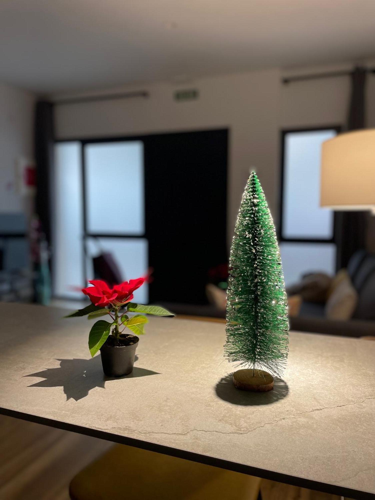 Junto Al Jardin Del Turia Apartamento Valencia Kültér fotó